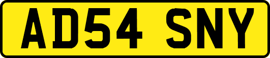 AD54SNY