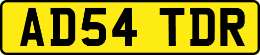 AD54TDR
