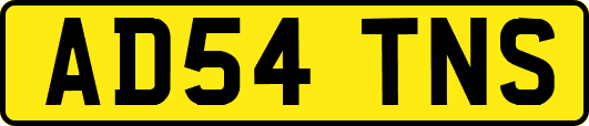 AD54TNS