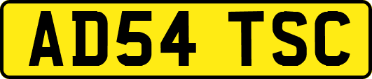 AD54TSC