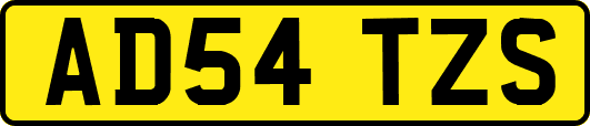AD54TZS