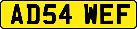 AD54WEF