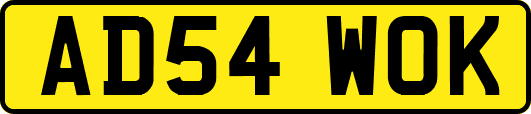 AD54WOK