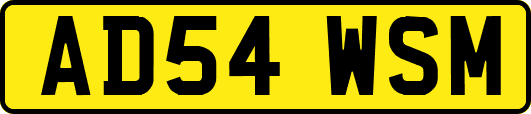 AD54WSM