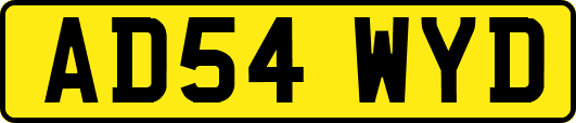 AD54WYD
