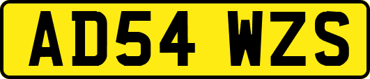 AD54WZS