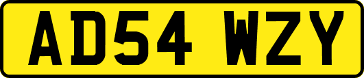 AD54WZY