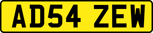 AD54ZEW