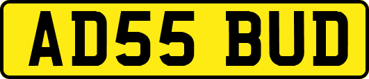 AD55BUD