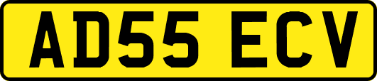 AD55ECV