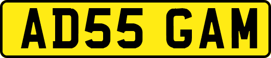 AD55GAM