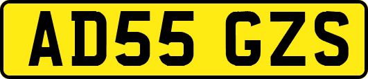 AD55GZS