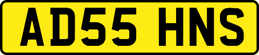 AD55HNS