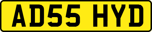 AD55HYD