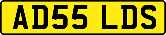 AD55LDS