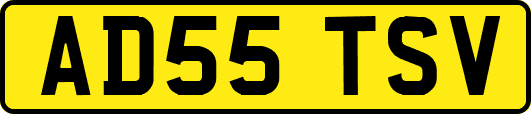 AD55TSV