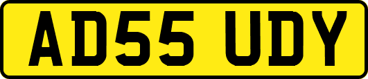 AD55UDY