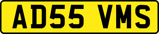 AD55VMS