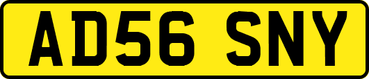 AD56SNY