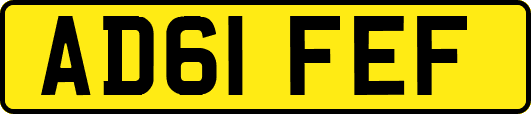 AD61FEF
