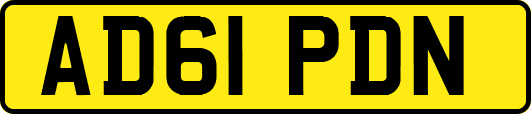AD61PDN