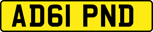 AD61PND