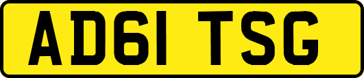 AD61TSG
