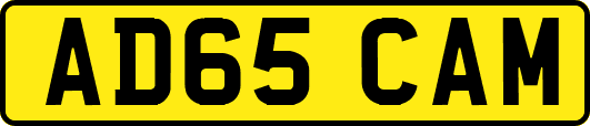 AD65CAM