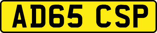 AD65CSP