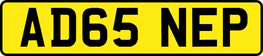 AD65NEP