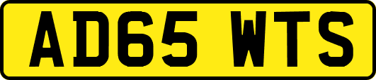AD65WTS