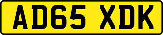 AD65XDK
