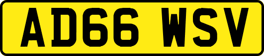 AD66WSV