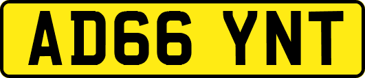 AD66YNT