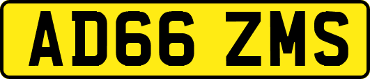 AD66ZMS