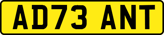 AD73ANT
