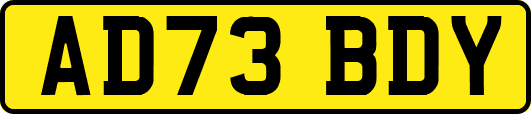 AD73BDY