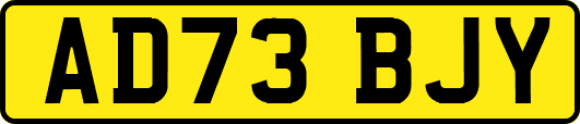 AD73BJY