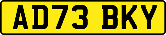 AD73BKY