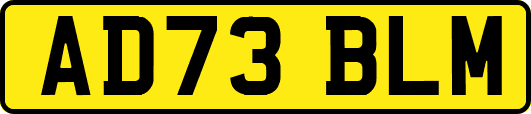 AD73BLM