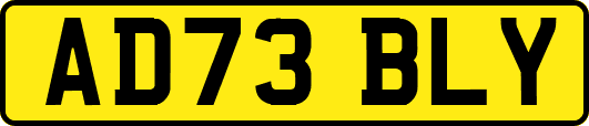 AD73BLY