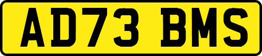 AD73BMS