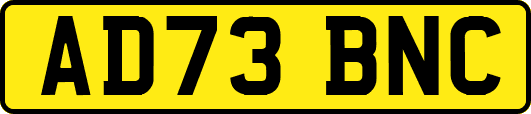 AD73BNC
