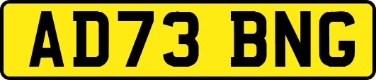 AD73BNG