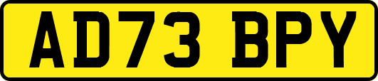AD73BPY