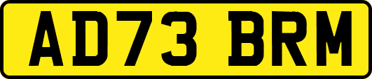 AD73BRM