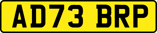 AD73BRP