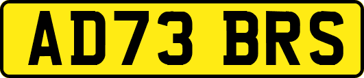 AD73BRS