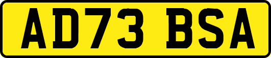 AD73BSA