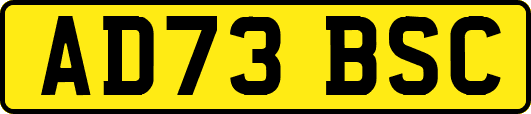 AD73BSC